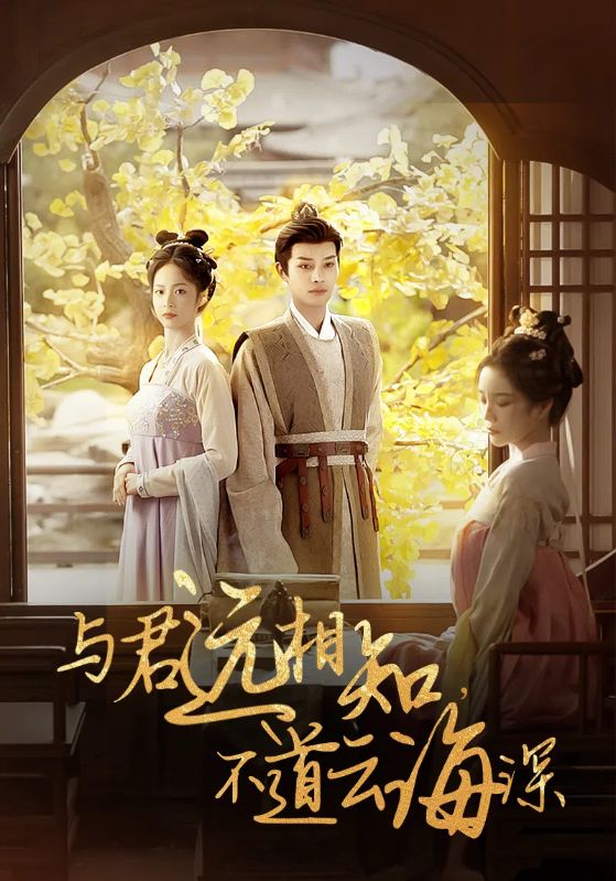 与君远相知不道云海深第12集