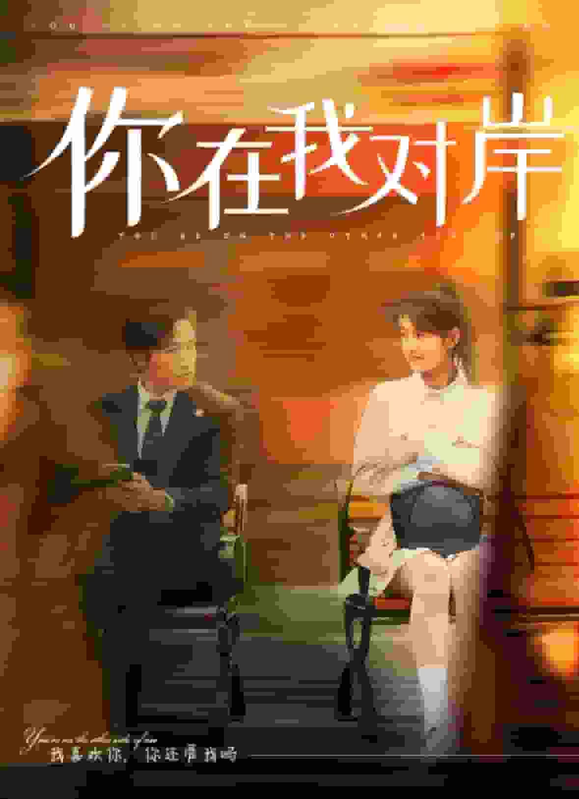 你在我对岸第14集