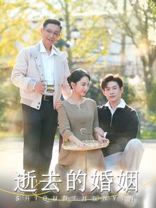 逝去的婚姻第51集