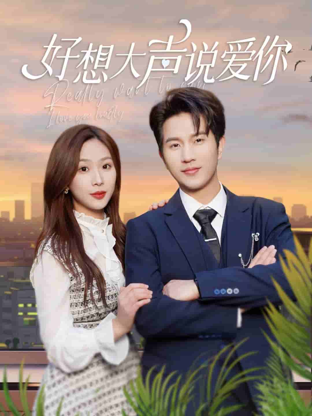 好想大声说爱你第17集