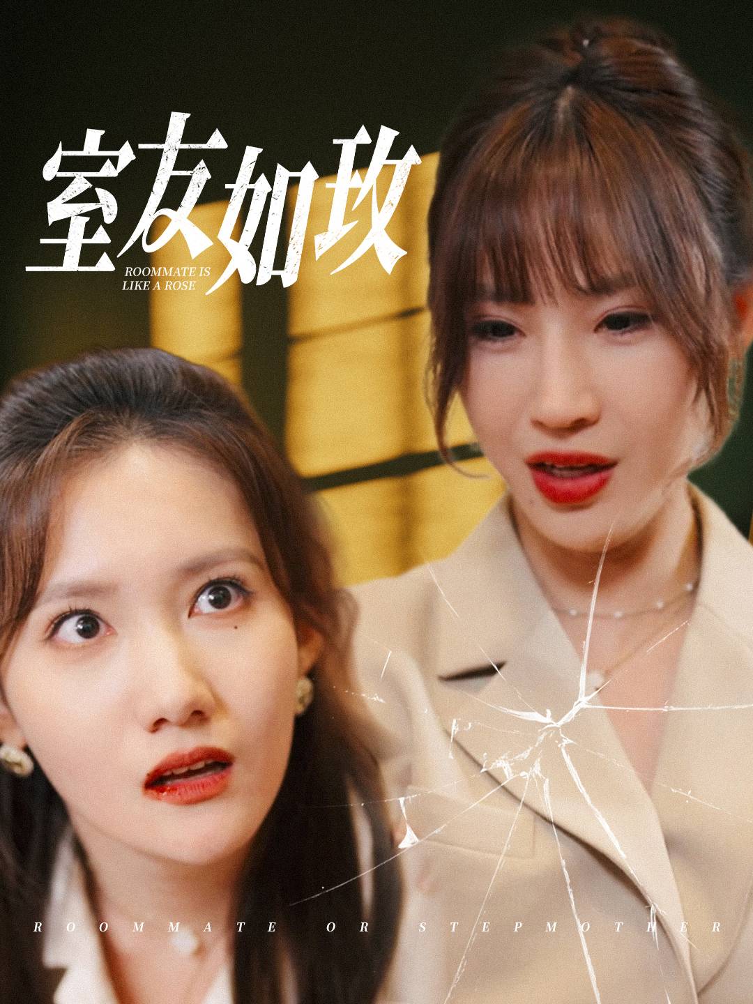 室友如玫第21集