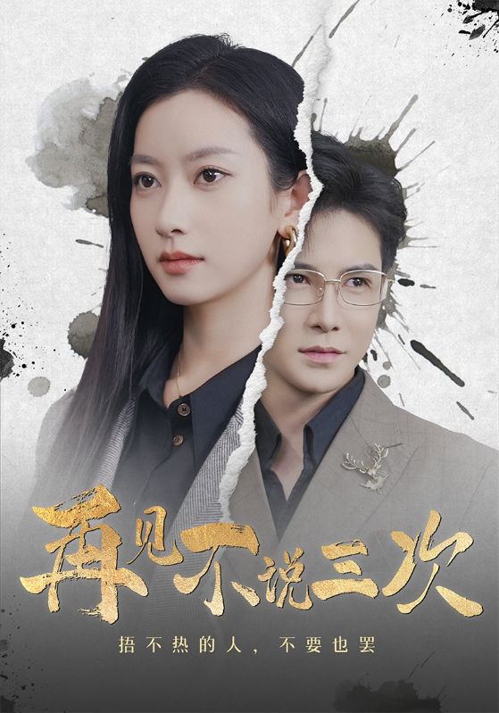 再见不说三次第11集