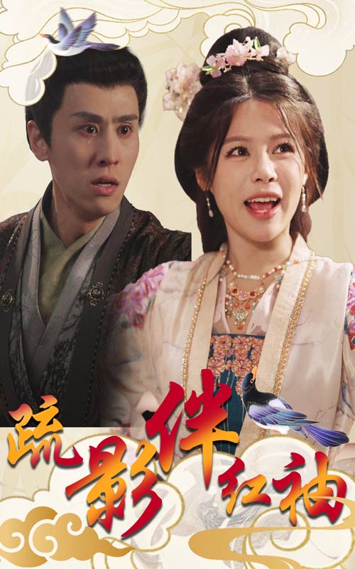 疏影伴红袖第20集