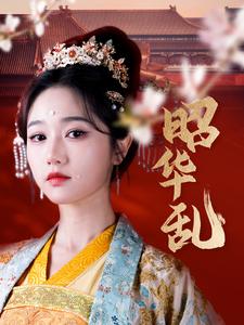 昭华乱第17集