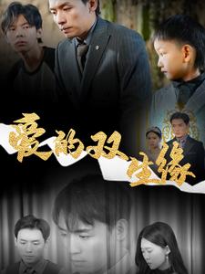 爱的双生缘第14集