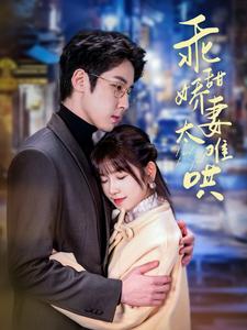 乖甜娇妻太难哄第17集