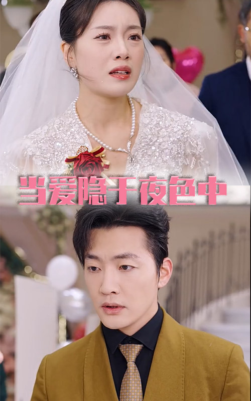 当爱隐于夜色中第10集