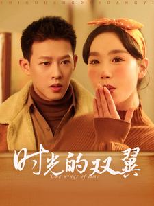 时光的双翼第94集(大结局)