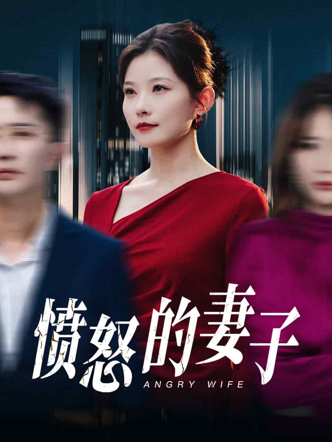 愤怒的妻子第11集