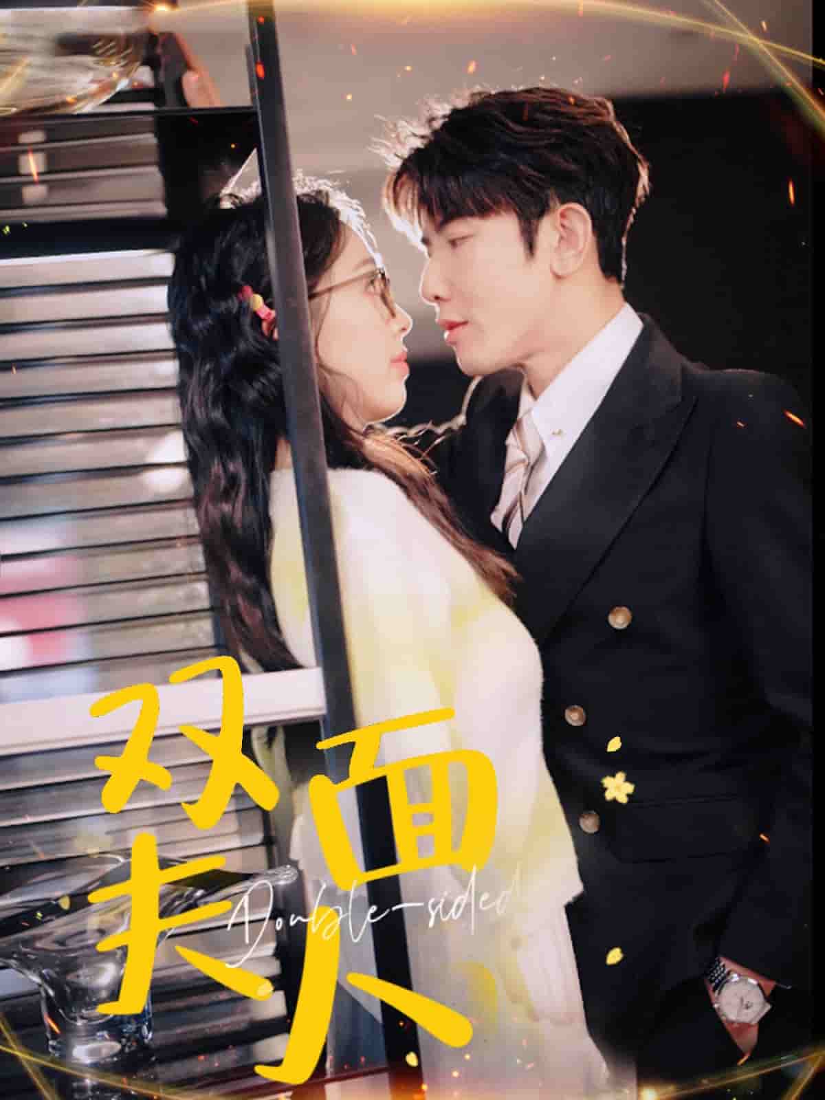 双面夫人第37集