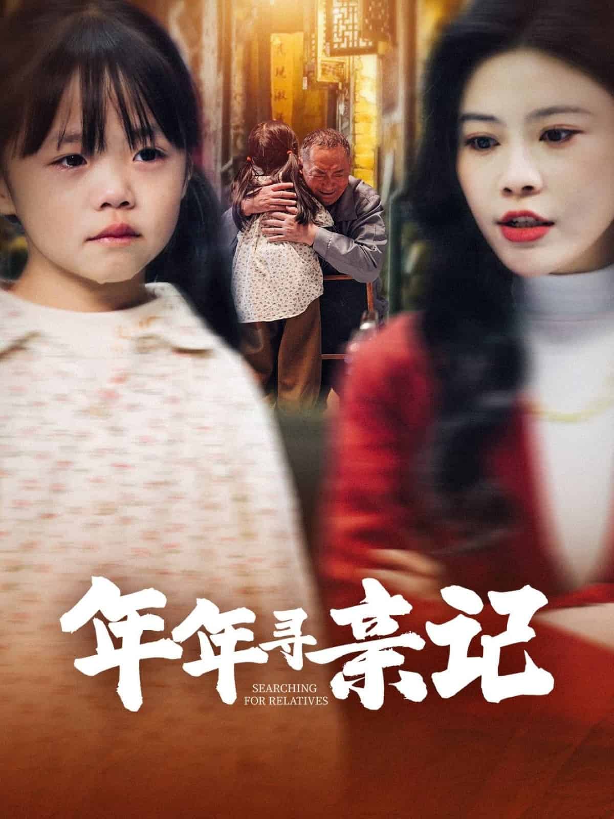 年年寻亲记第8集