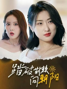 踏破荆棘向朝阳第36集