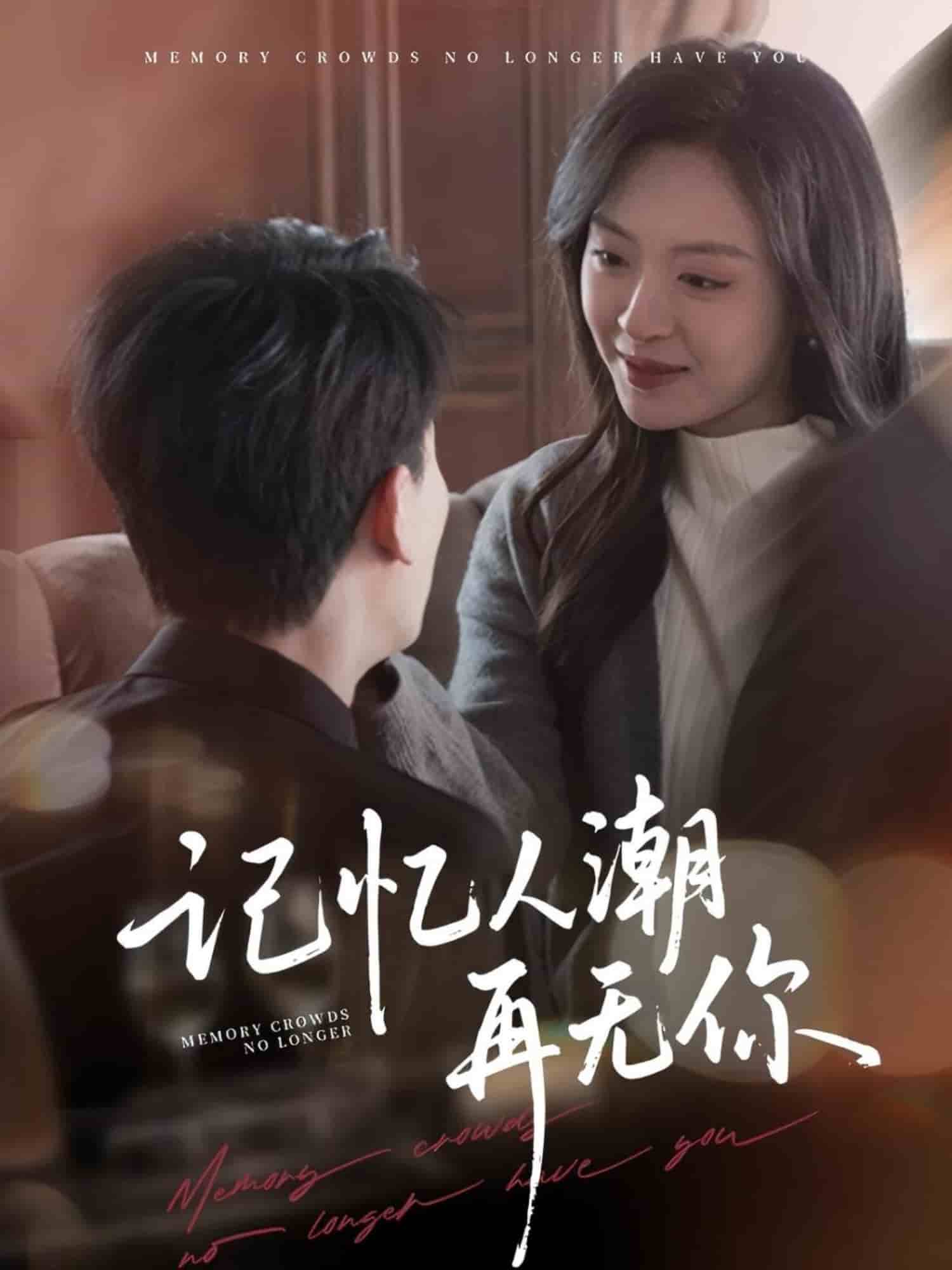 记忆人潮再无你第30集