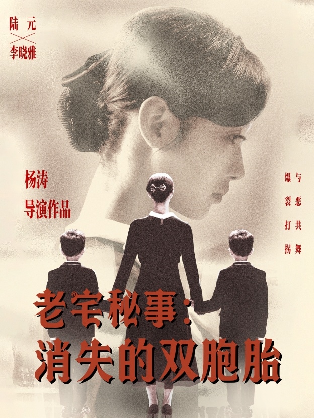 老宅秘事消失的双胞胎第24集