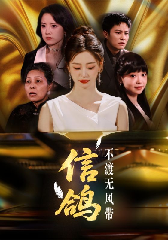 信鸽不渡无风带第11集