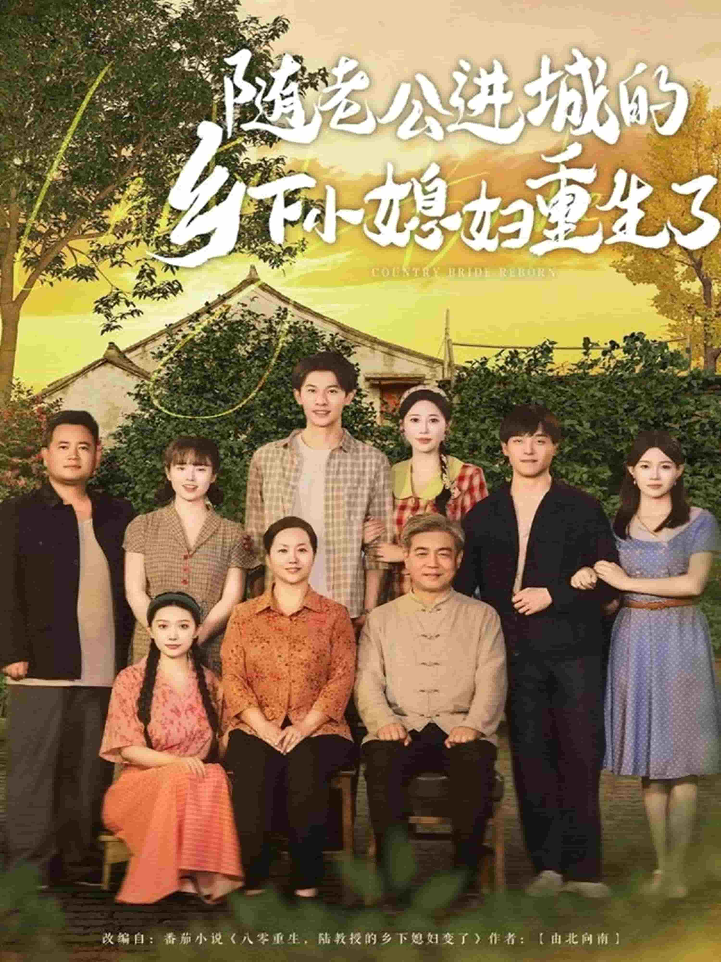 随老公进城的乡下小媳妇重生了第45集