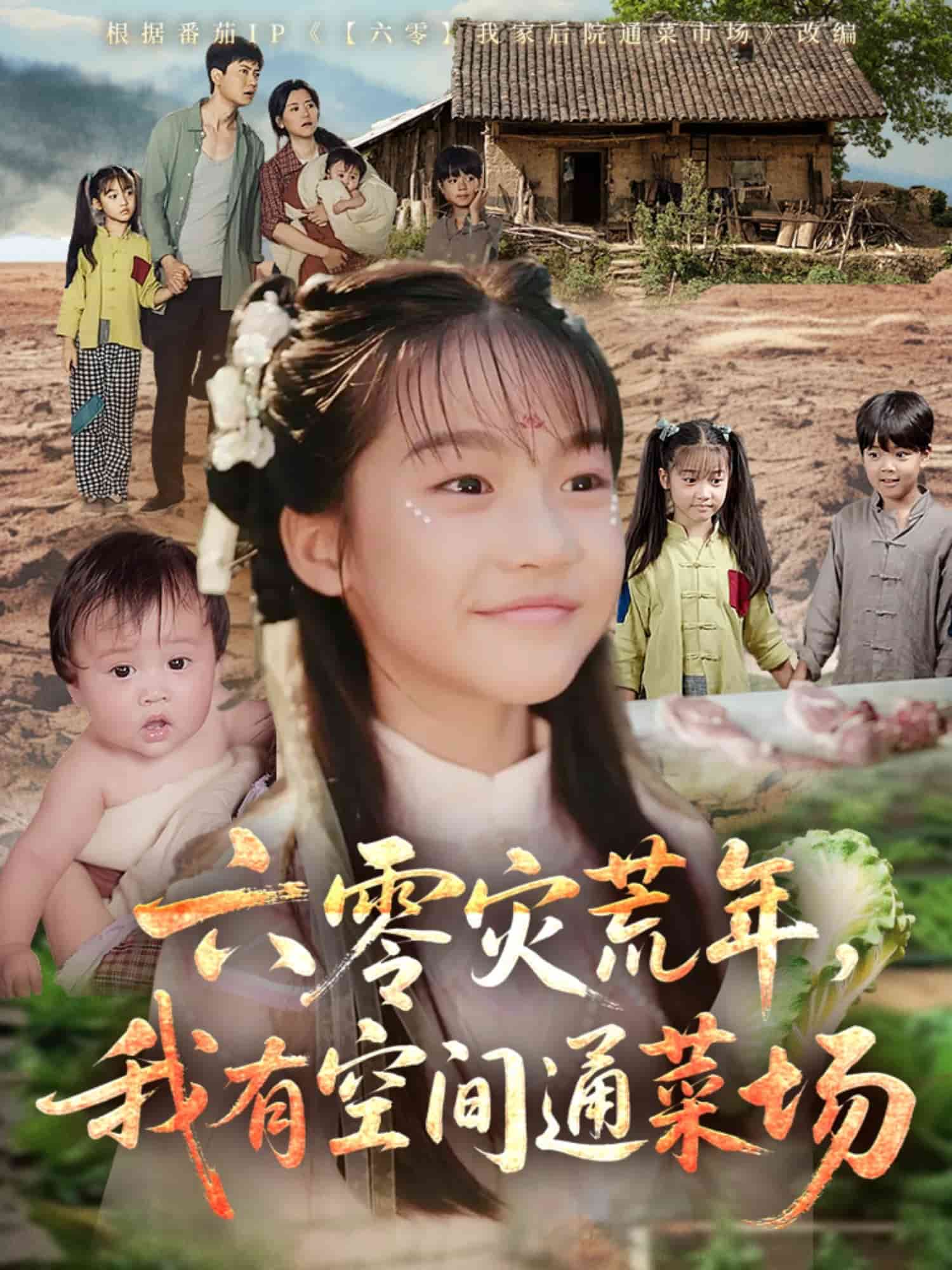 六零灾荒年，我有空间通菜场第21集