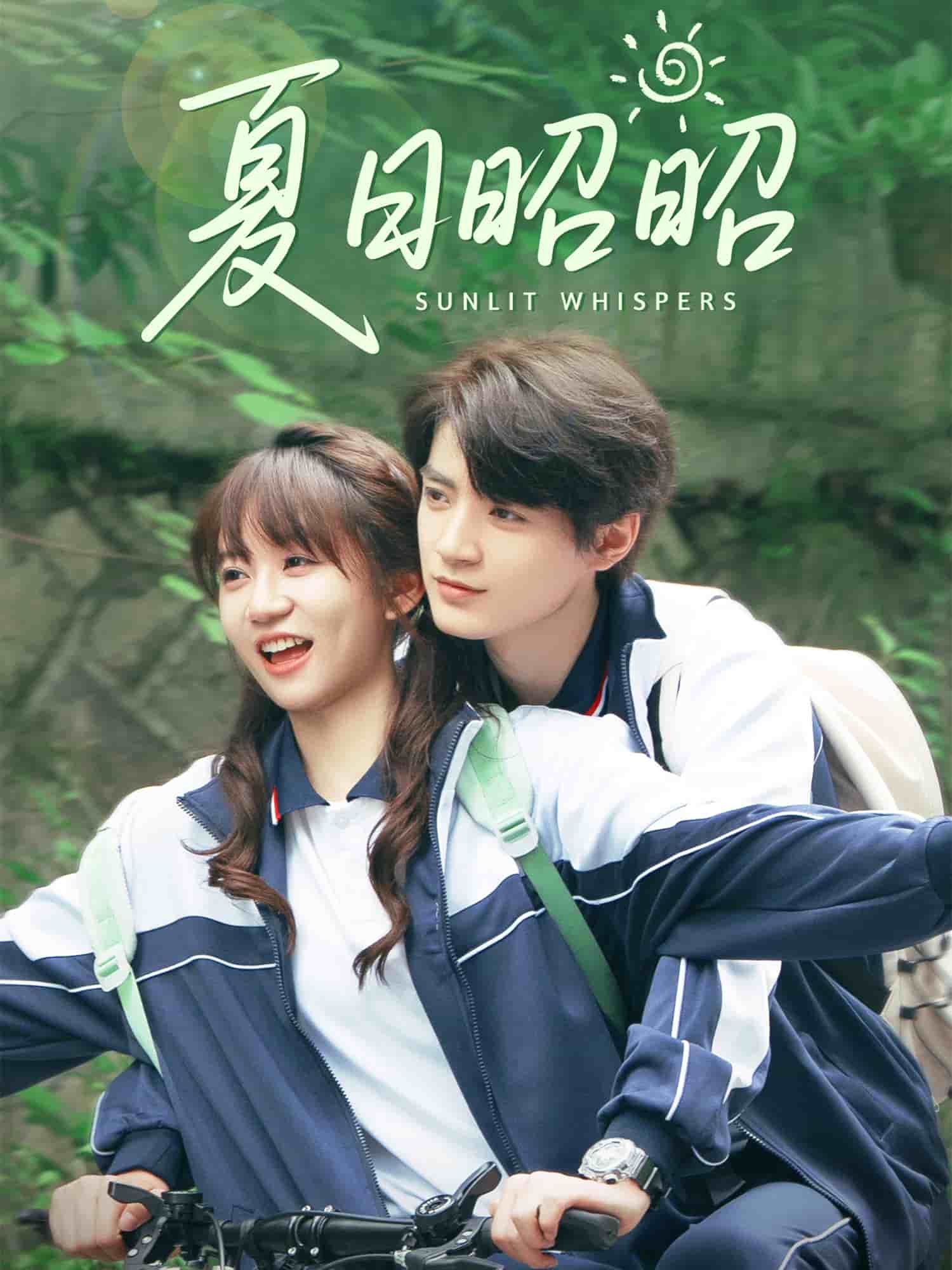 夏日昭昭第15集