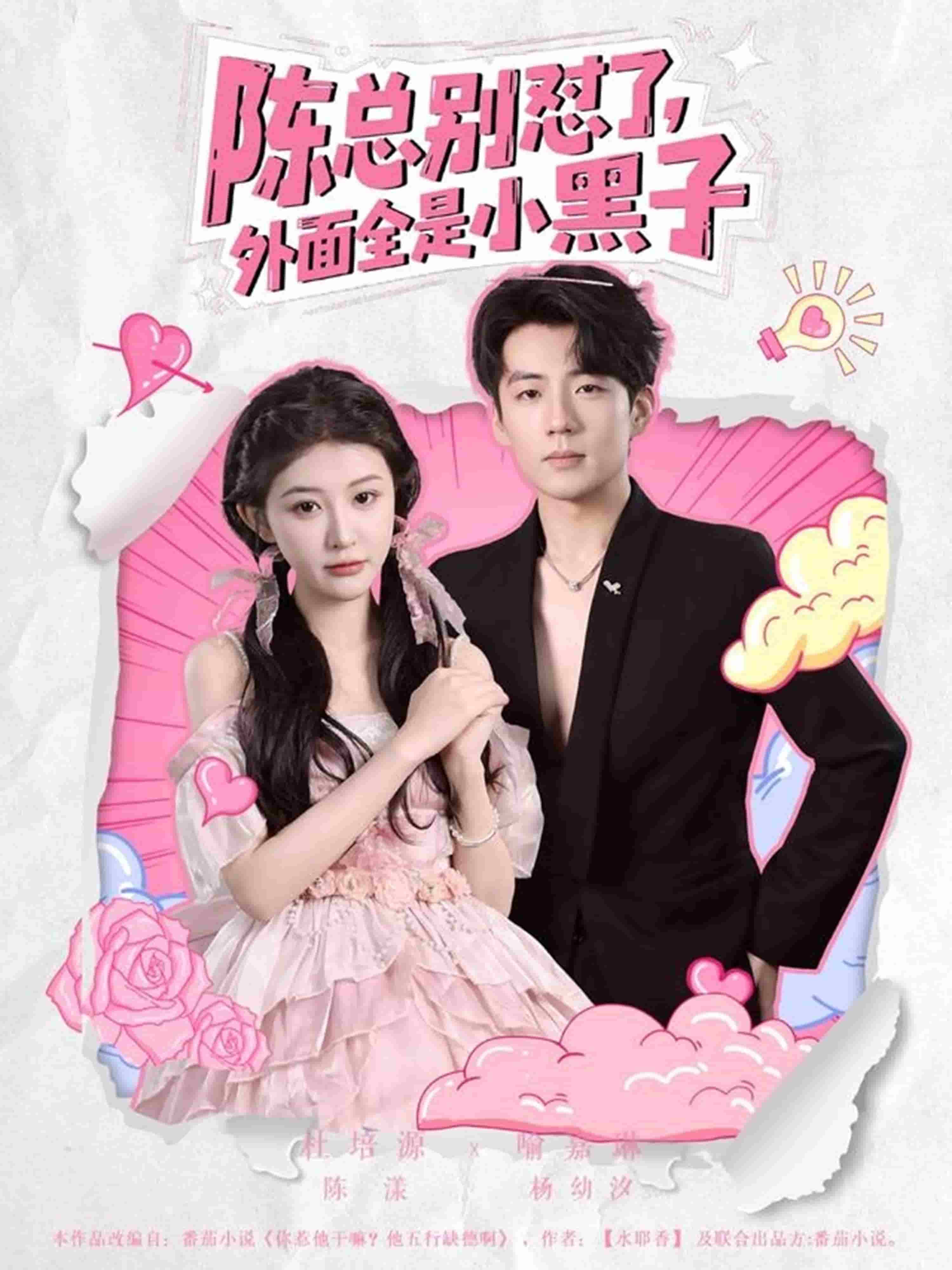 陈总别怼了外面全是小黑子第14集