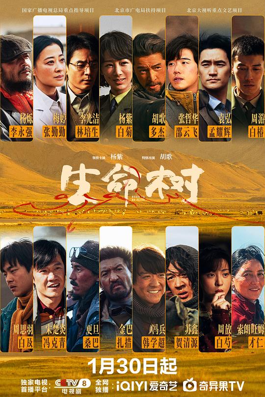 生命树第21集