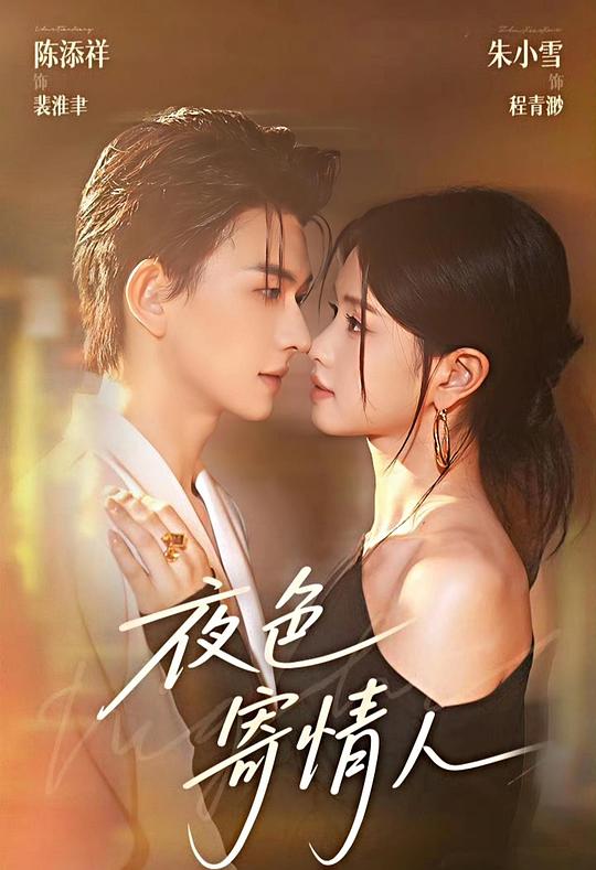 夜色寄情人第104集