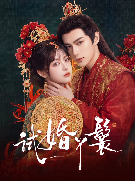 试婚丫鬟2026(全集)