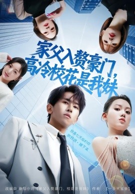 家父入赘豪门，高冷校花是我妹(全集)