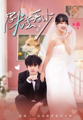 惊！我家来福变恶少了 忠犬变恶少(全集)