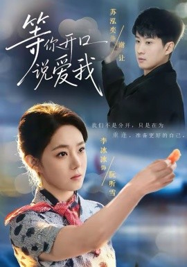等你开口说爱我(全集)